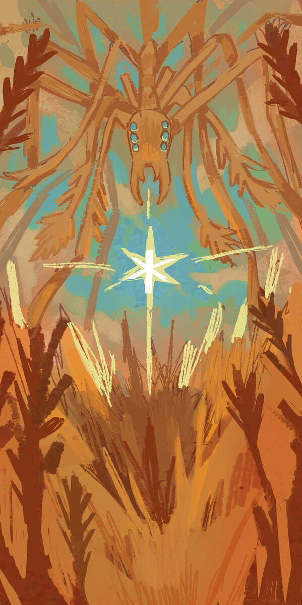 Insulindian Phasmid from DE